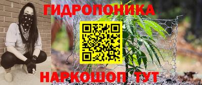 мдпв Тверь